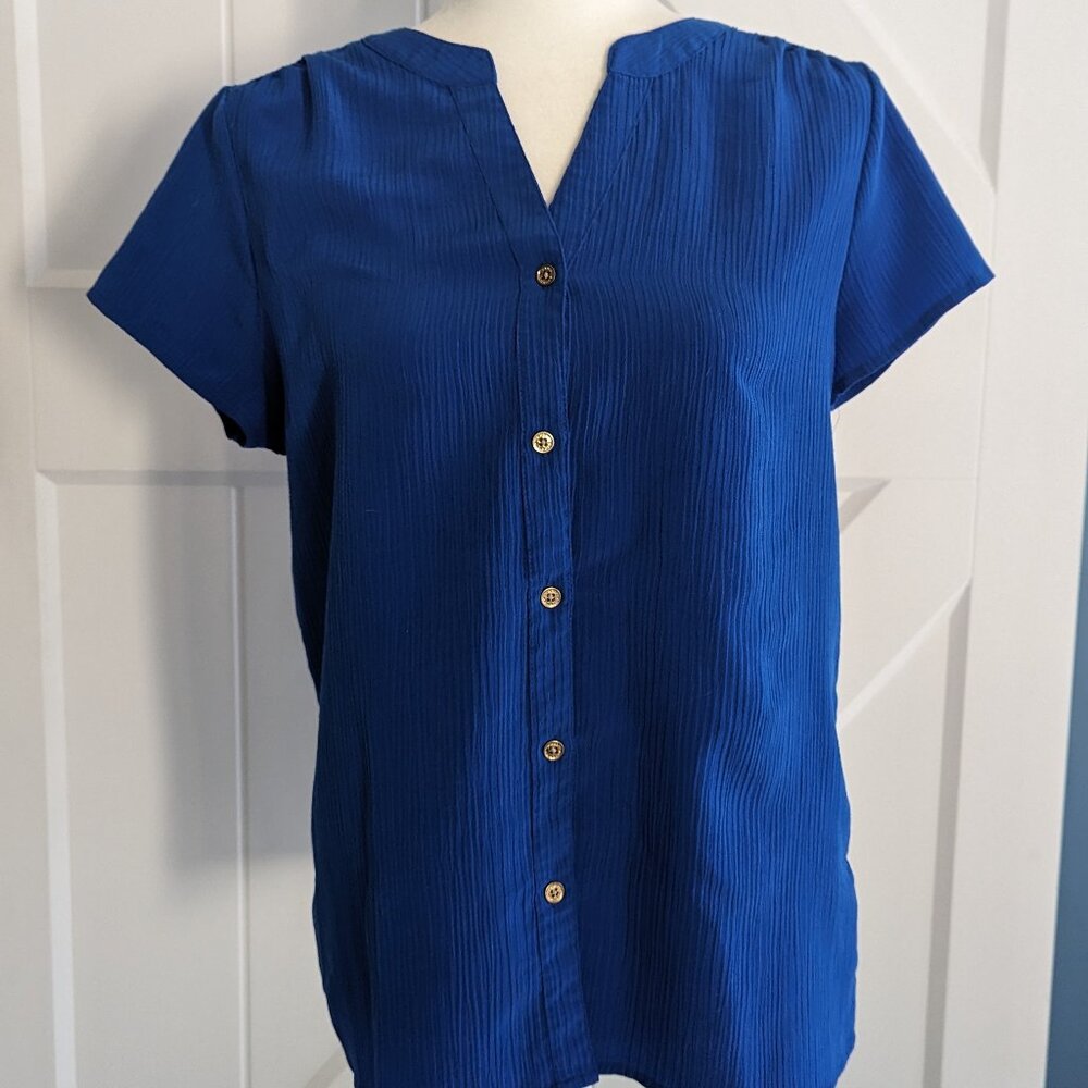 Dana Buchman blue, short sleeved blouse
